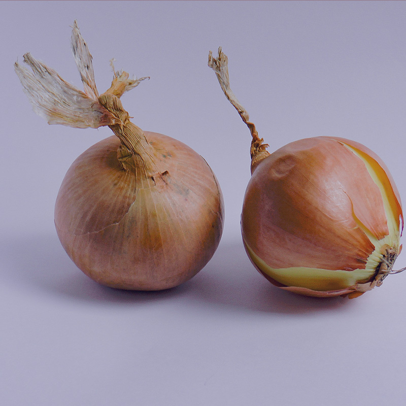 https://ulsterartschool.com/wp-content/uploads/2022/09/onions.jpg