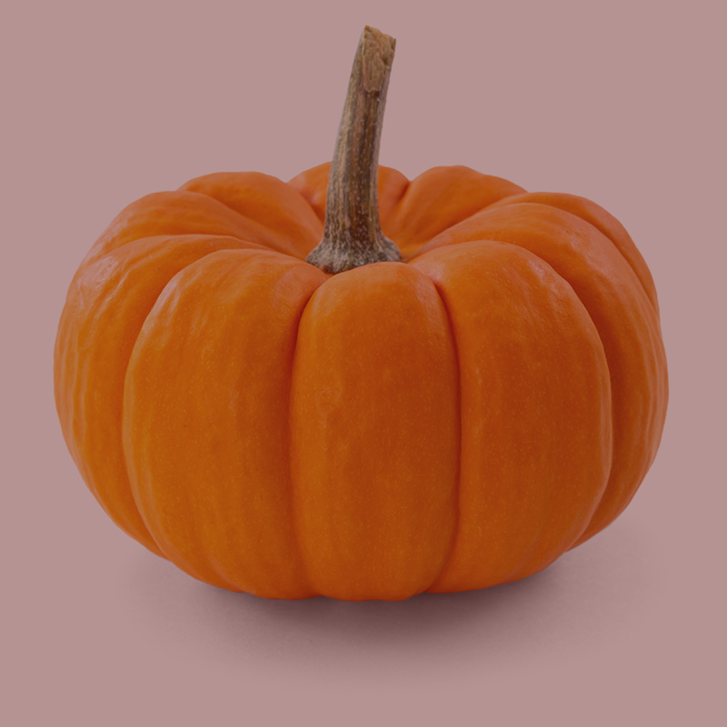 https://ulsterartschool.com/wp-content/uploads/2022/09/pumpkin.jpg